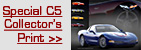 Sponsored Banner